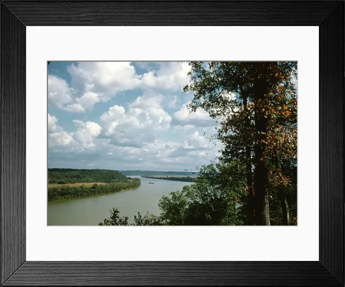 Framed Print : Sorghum Harvest Framed Print : Sorghum Harvest