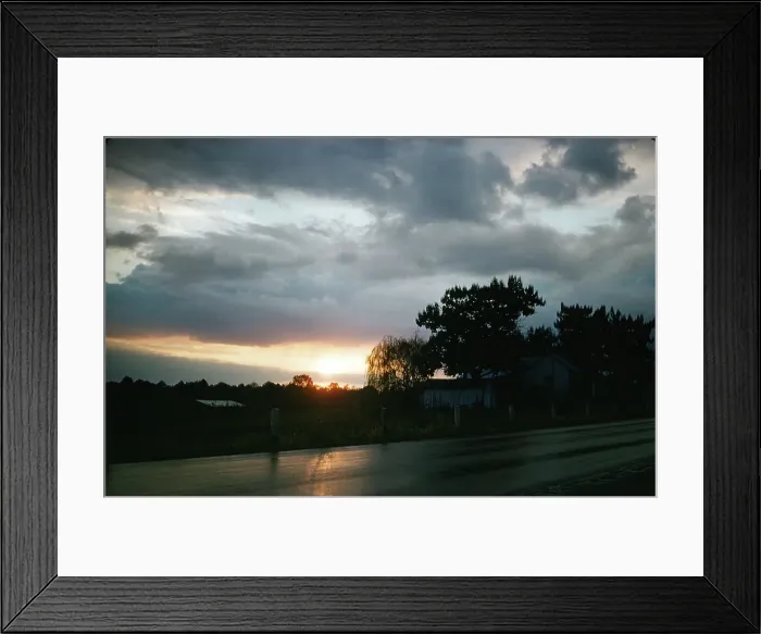 Framed Print : Sorghum Harvest Framed Print : Sorghum Harvest