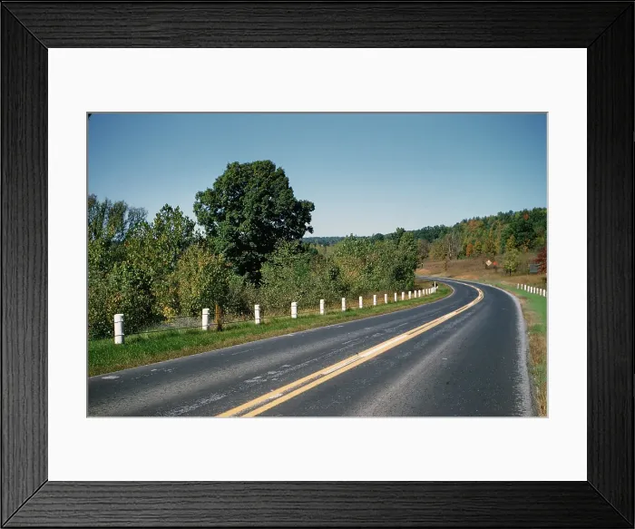 Framed Print : Sorghum Harvest Framed Print : Sorghum Harvest