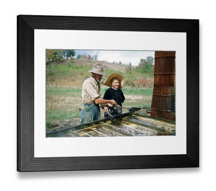 Framed Print : Sorghum Harvest Framed Print : Sorghum Harvest