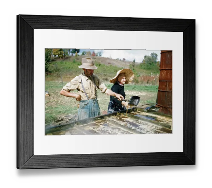 Framed Print : Sorghum Harvest Framed Print : Sorghum Harvest