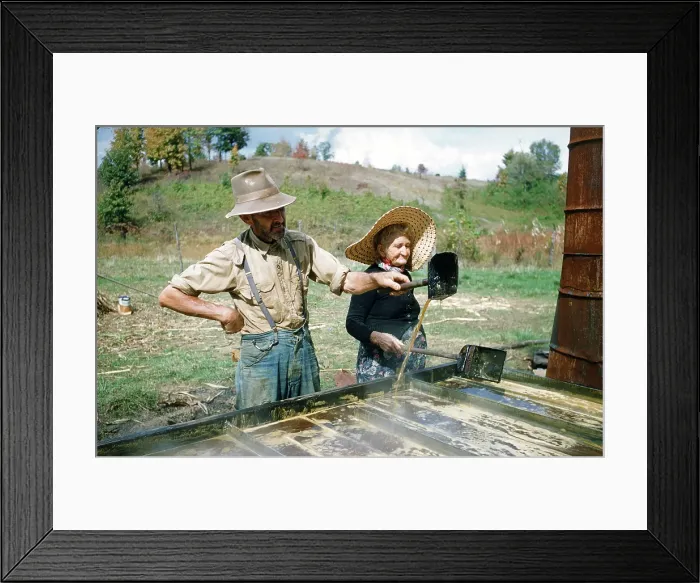 Framed Print : Sorghum Harvest Framed Print : Sorghum Harvest