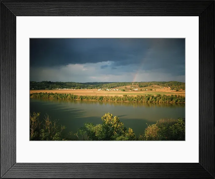 Framed Print : Sorghum Harvest Framed Print : Sorghum Harvest