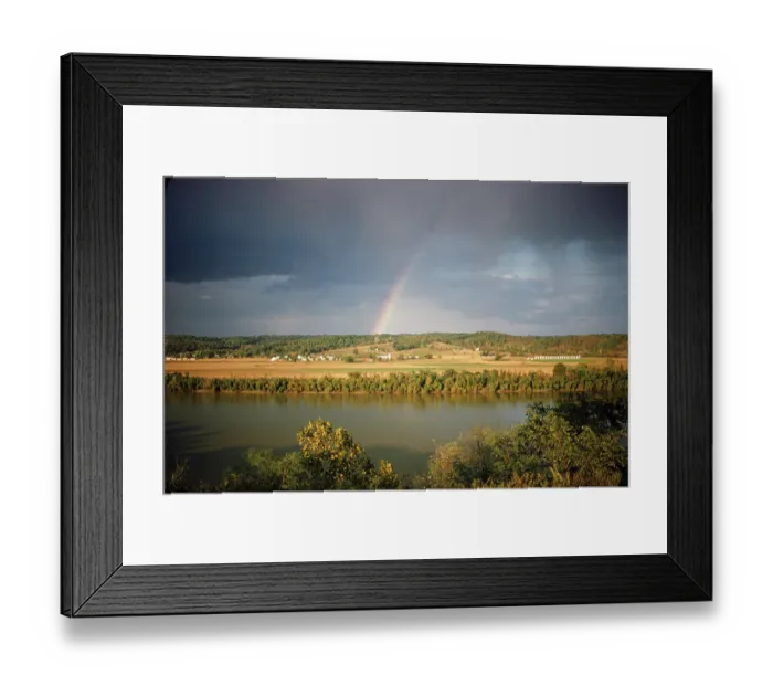 Framed Print : Sorghum Harvest Framed Print : Sorghum Harvest
