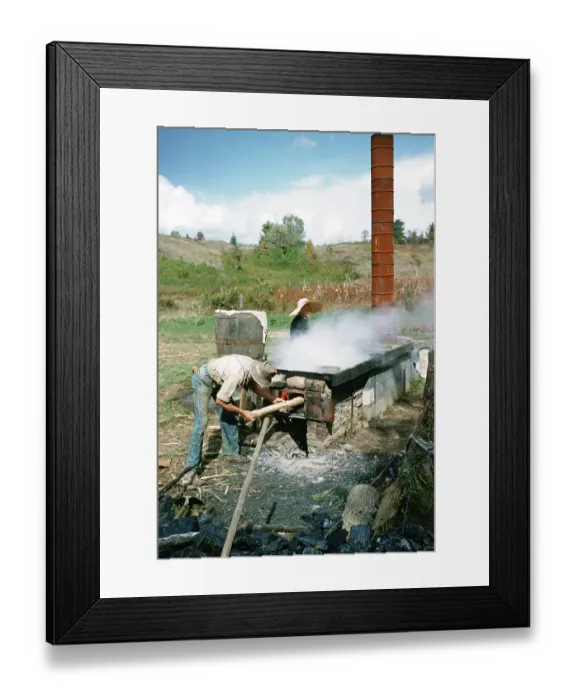 Framed Print : Sorghum Harvest Framed Print : Sorghum Harvest