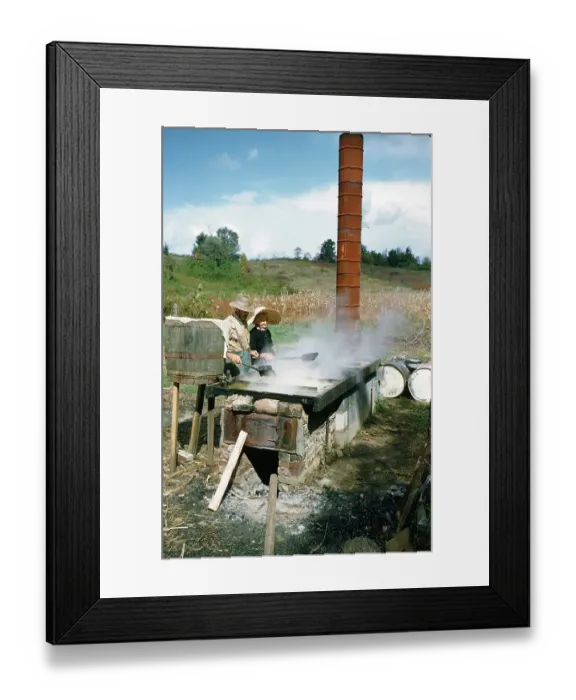 Framed Print : Sorghum Harvest Framed Print : Sorghum Harvest