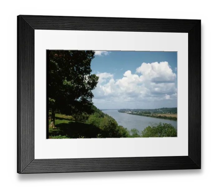Framed Print : Sorghum Harvest Framed Print : Sorghum Harvest