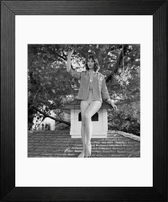 Framed Print : Vikki Dougan Framed Print : Vikki Dougan