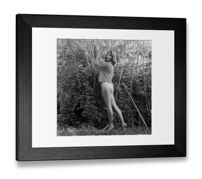 Framed Print : Vikki Dougan Framed Print : Vikki Dougan
