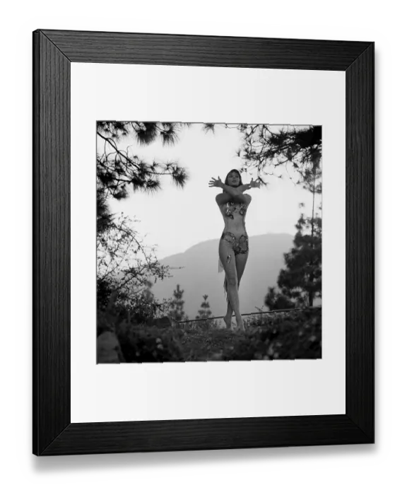 Framed Print : Vikki Dougan Framed Print : Vikki Dougan