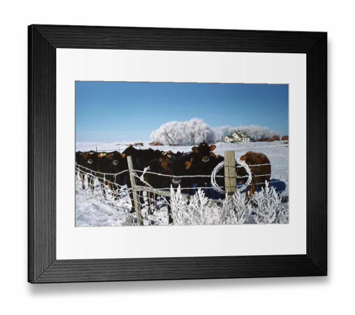 Framed Print : North Dakota scenery