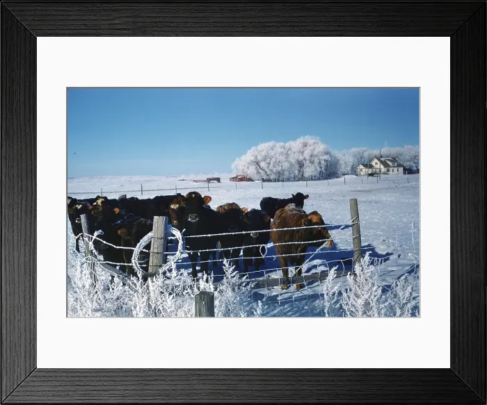 Framed Print : North Dakota scenery Framed Print : North Dakota scenery