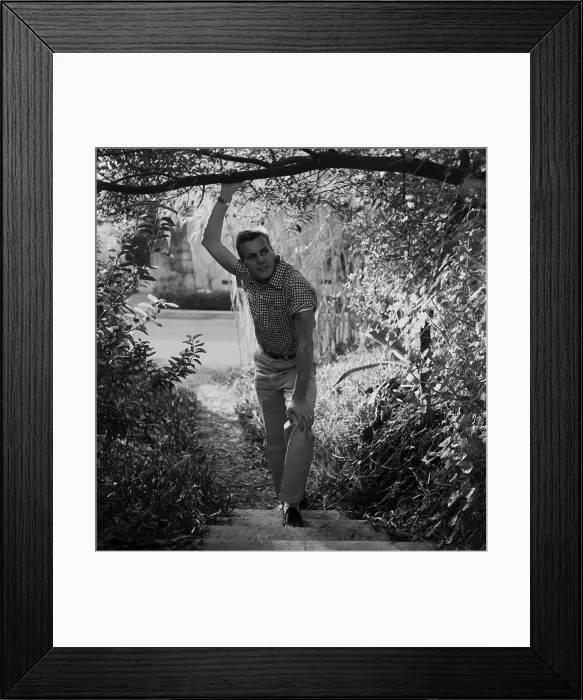 Framed Print : Tab Hunter