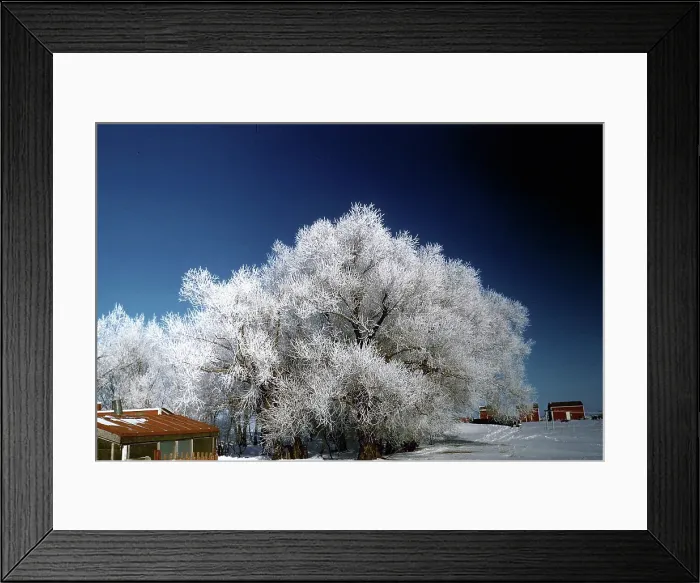 Framed Print : VERMONT VILLAGE Framed Print : VERMONT VILLAGE