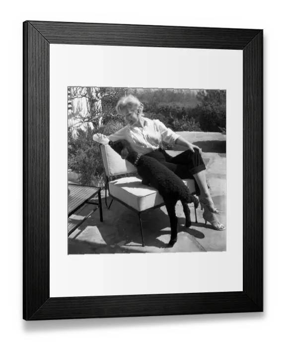 Framed Print : Zsa Zsa Gabor Framed Print : Zsa Zsa Gabor