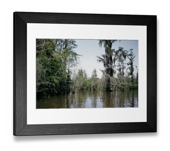 Framed Print : Life On The Bayou Framed Print : Life On The Bayou