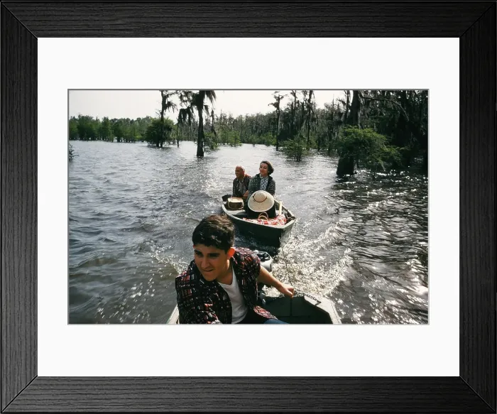 Framed Print : Life On The Bayou Framed Print : Life On The Bayou