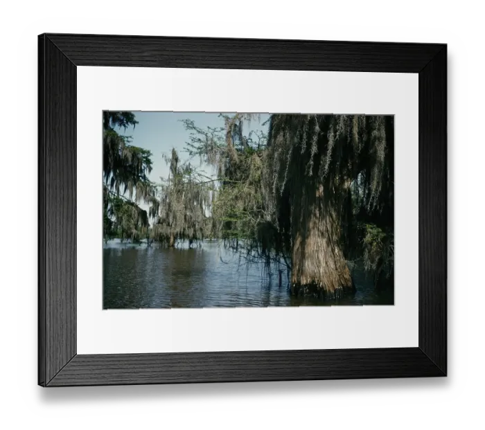 Framed Print : Life On The Bayou Framed Print : Life On The Bayou