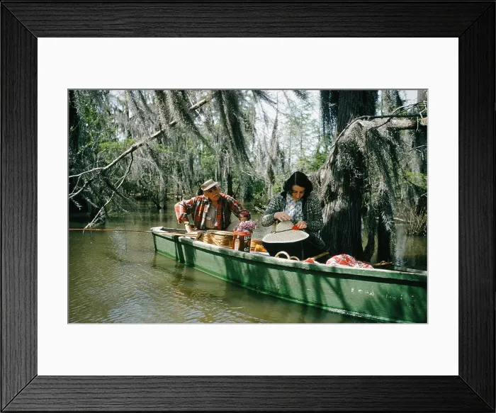 Framed Print : Life On The Bayou Framed Print : Life On The Bayou