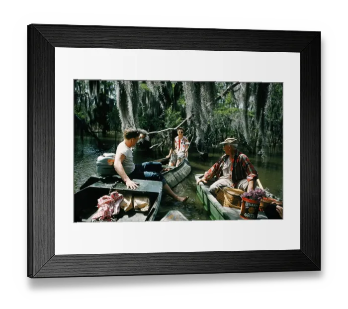 Framed Print : Life On The Bayou Framed Print : Life On The Bayou