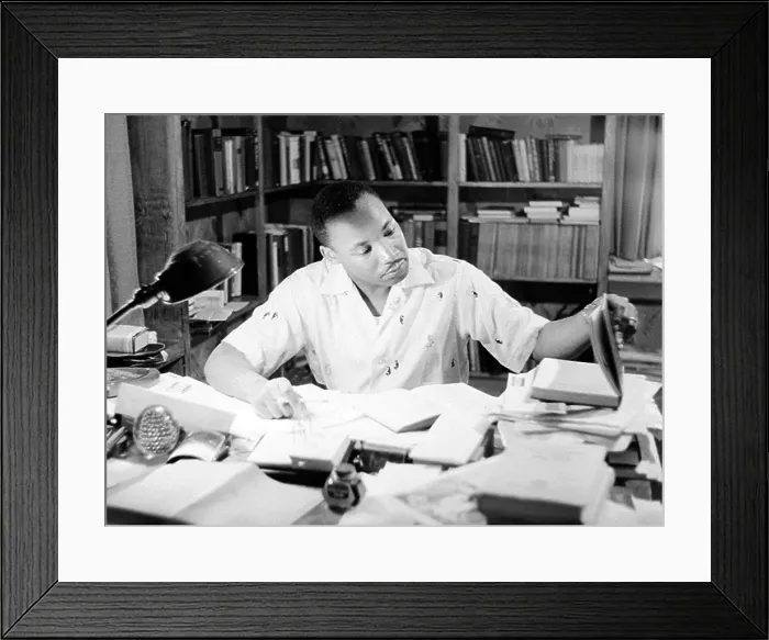 Framed Print : King At Home Framed Print : King At Home