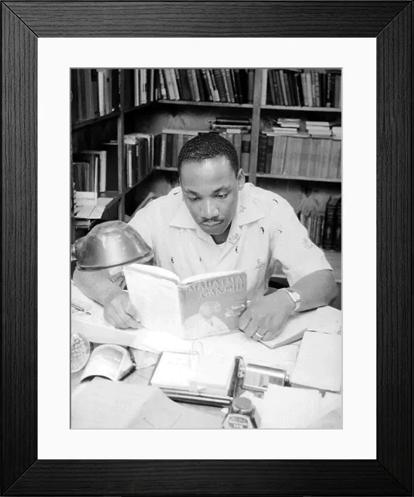 Framed Print : King At Home Framed Print : King At Home