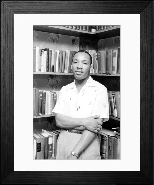 Framed Print : King At Home Framed Print : King At Home