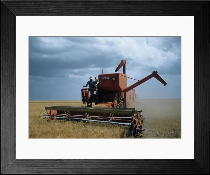 Framed Print : WHEAT HARVEST IN KANSAS Framed Print : WHEAT HARVEST IN KANSAS