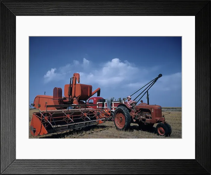 Framed Print : WHEAT HARVEST IN KANSAS Framed Print : WHEAT HARVEST IN KANSAS