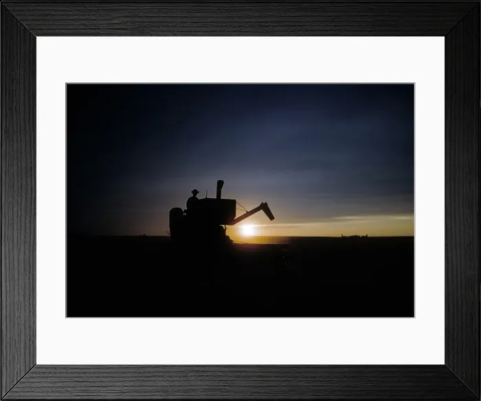 Framed Print : WHEAT HARVEST IN KANSAS