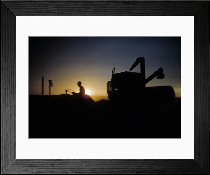 Framed Print : WHEAT HARVEST IN KANSAS