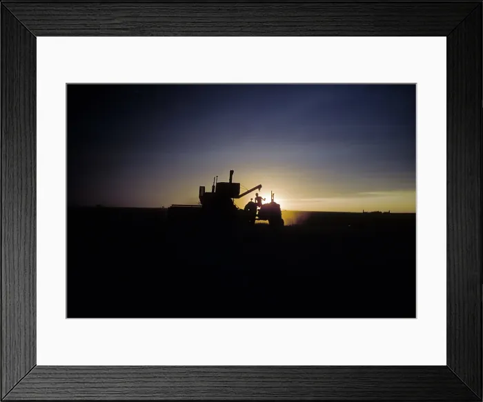 Framed Print : WHEAT HARVEST IN KANSAS Framed Print : WHEAT HARVEST IN KANSAS