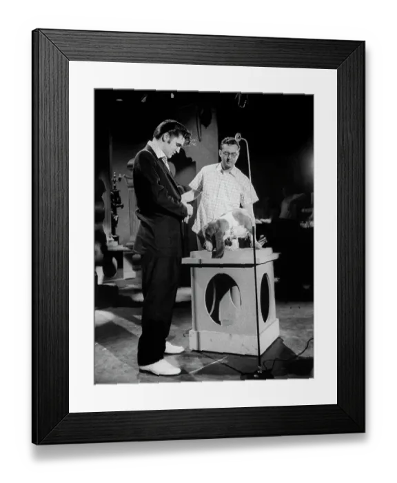 Framed Print : Elvis Presley with Steve Allen and a Hound Dog on the Tonight Show Framed Print : Elvis Presley with Steve Allen and a Hound Dog on the Tonight Show
