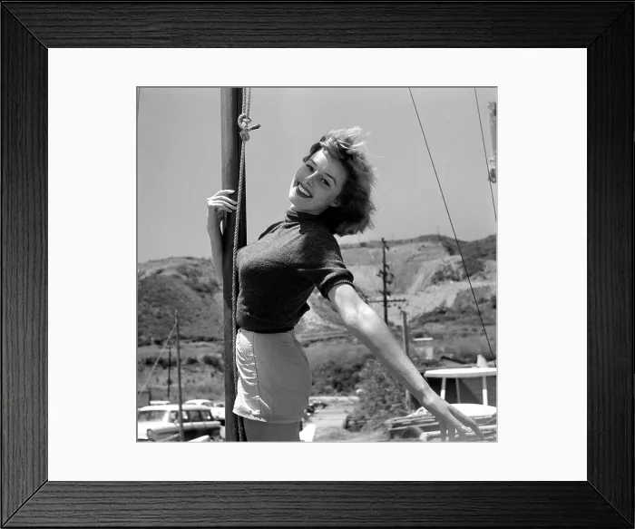Framed Print : Thalians Beach Ball Framed Print : Thalians Beach Ball