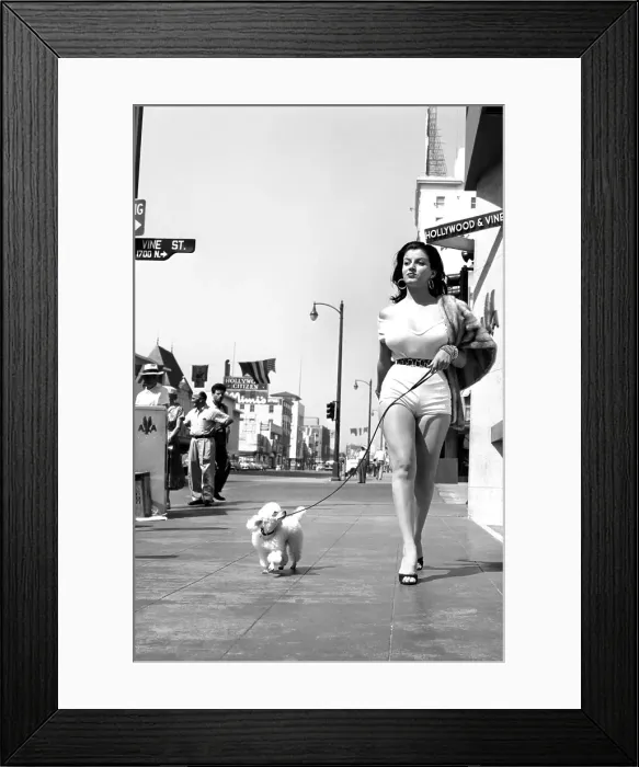 Framed Print : Photo of 031 Bradshaw Joan Framed Print : Photo of 031 Bradshaw Joan