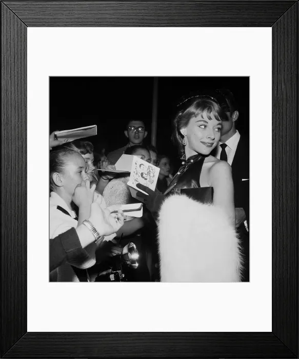 Framed Print : Vikki Dougan Framed Print : Vikki Dougan