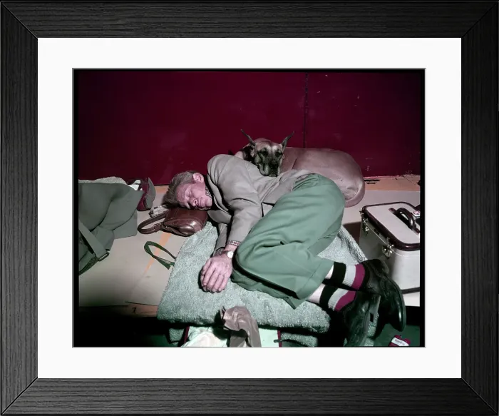 Framed Print : WESTMINSTER DOG SHOW 1957