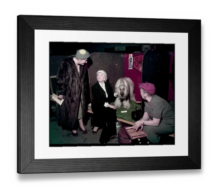 Framed Print : WESTMINSTER DOG SHOW 1957 Framed Print : WESTMINSTER DOG SHOW 1957
