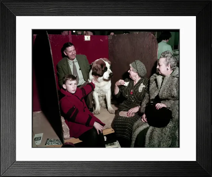 Framed Print : WESTMINSTER DOG SHOW 1957 Framed Print : WESTMINSTER DOG SHOW 1957