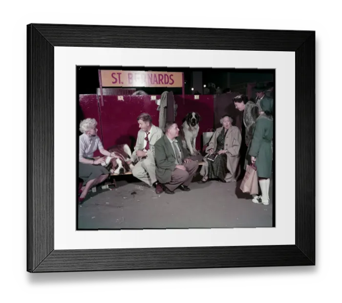 Framed Print : WESTMINSTER DOG SHOW 1957