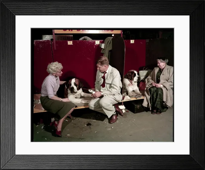 Framed Print : WESTMINSTER DOG SHOW 1957 Framed Print : WESTMINSTER DOG SHOW 1957