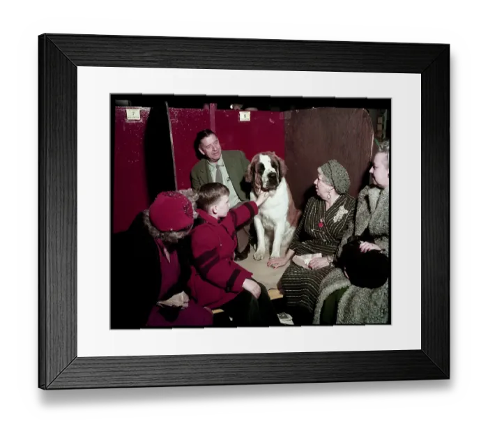 Framed Print : WESTMINSTER DOG SHOW 1957 Framed Print : WESTMINSTER DOG SHOW 1957