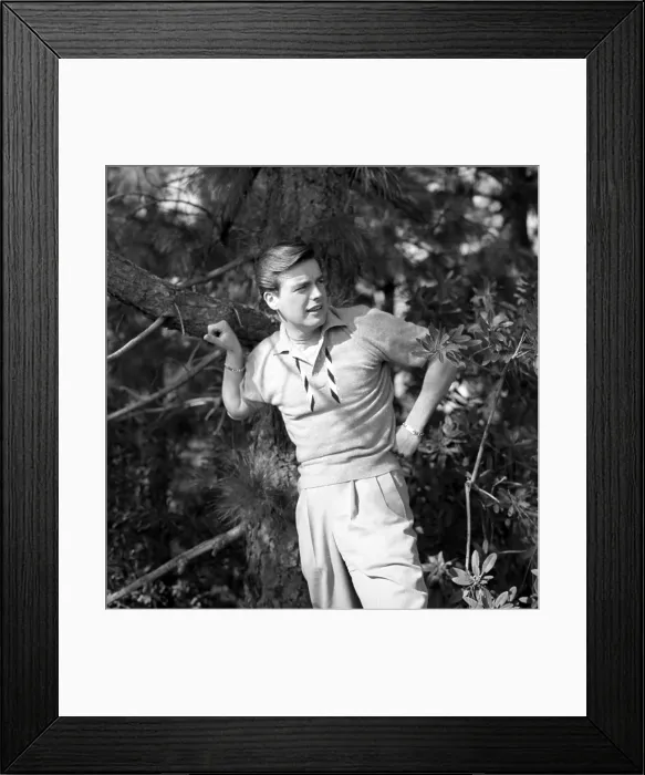 Framed Print : Robert Wagner Portrait Session Framed Print : Robert Wagner Portrait Session