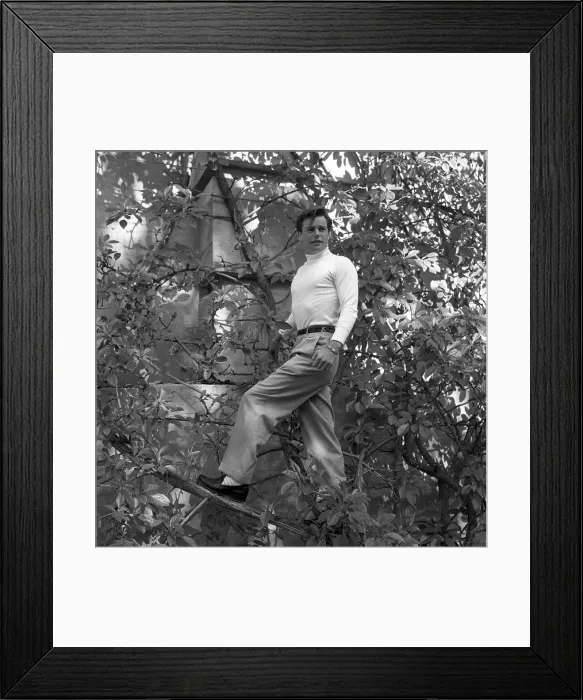 Framed Print : Robert Wagner Portrait Session Framed Print : Robert Wagner Portrait Session