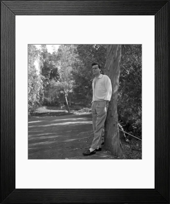 Framed Print : Robert Wagner Portrait Session Framed Print : Robert Wagner Portrait Session