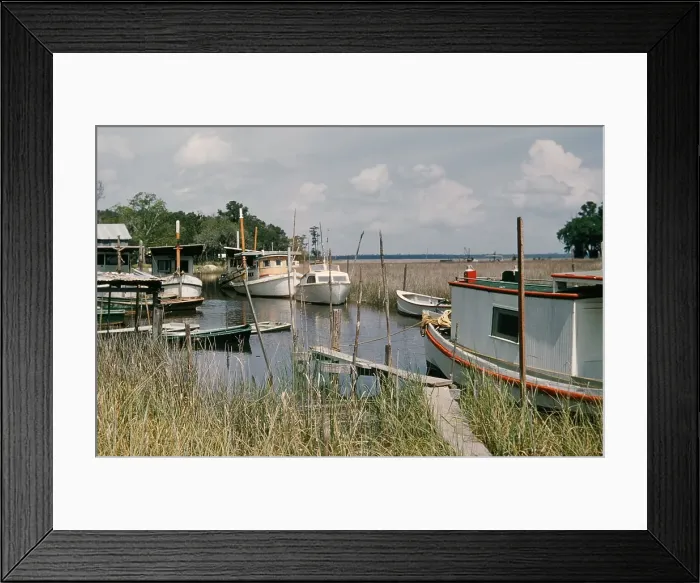 Framed Print : Life On The Bayou Framed Print : Life On The Bayou