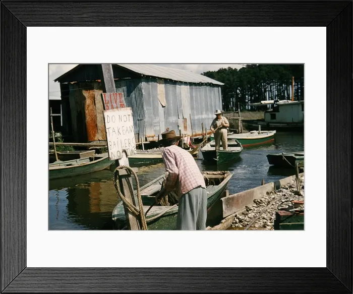 Framed Print : Life On The Bayou Framed Print : Life On The Bayou