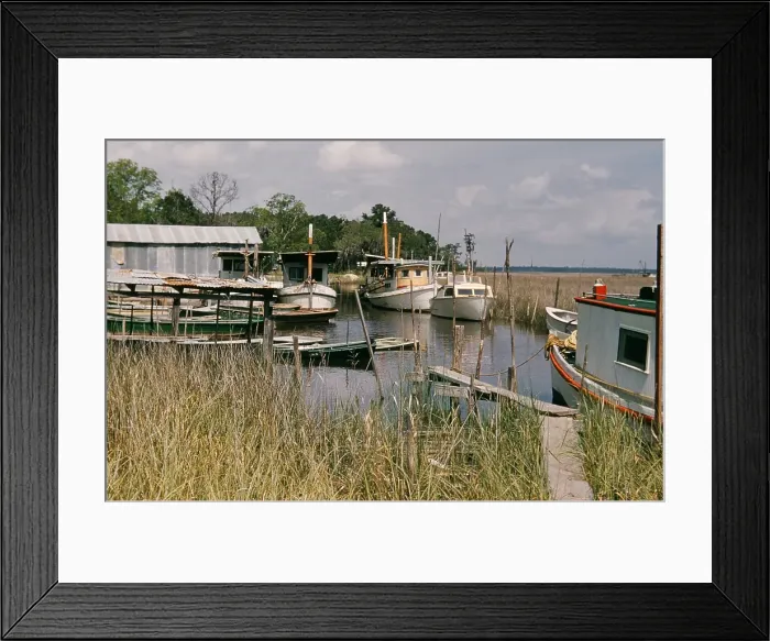 Framed Print : Life On The Bayou Framed Print : Life On The Bayou