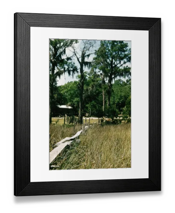 Framed Print : Life On The Bayou Framed Print : Life On The Bayou