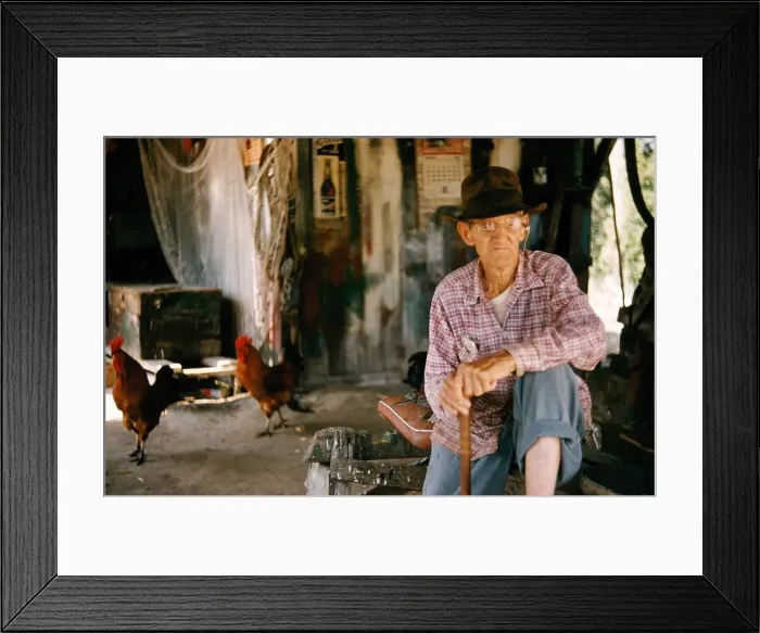 Framed Print : Life On The Bayou Framed Print : Life On The Bayou